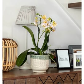 Slika 02.750.14 Posuda okruglog oblika - krem/zelena