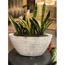 Slika 44.003.38 Visoka čamac zdjela - siva