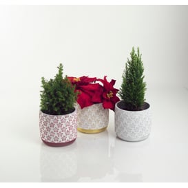 Picture of 05.255.14 Posuda u obliku cilindra - crvena