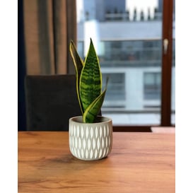 Slika 05.176.14 Posuda okruglog oblika - etno