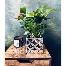 Slika 02.706.14 Posuda četvrtastog oblika - srebrna