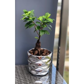 Slika 02.627.15 Posuda okruglog oblika - srebrna