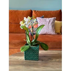 Picture of 07.129.14 Posuda četvrtastog oblika - tirkizna