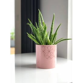 Slika 31.126.13 Posuda u obliku cilindra - roza/zlatna