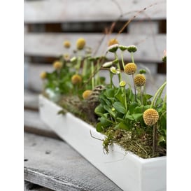 Slika 16.078.50 Posuda pravokutnog oblika - bijela