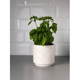 Slika 05.256.14 Posuda u obliku cilindra - bijela 