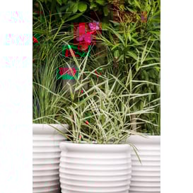 Slika 01.509. 43/47/51 (A) Set od tri posude okruglog oblika sa podlogom - bijela