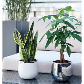 Picture of 08.103.15 Posuda okruglog oblika - bijela