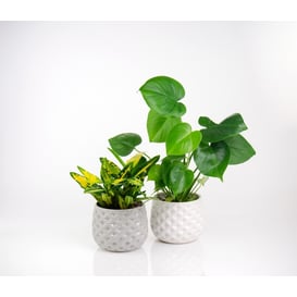 Picture of 39.053.16 Posuda okruglog oblika - siva