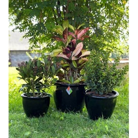 Slika 79.304. 27/31/38 Set od tri posude - crna