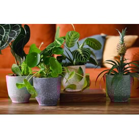 Slika 05.348.14 Posuda okruglog oblika - krem terrazzo