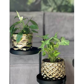 Slika 02.631.16 Posuda okruglog oblika - zlatna