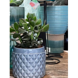 Slika 05.284.15 Posuda okruglog oblika - plava