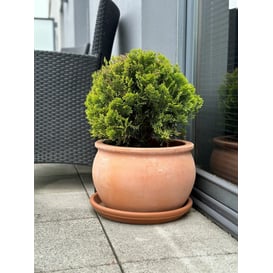 Slika 75.207. 28/38/50 Niska posuda okruglog oblika