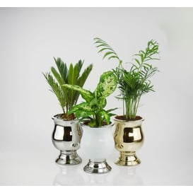 Slika 31.114.21 Posuda u obliku amfore - srebrna 