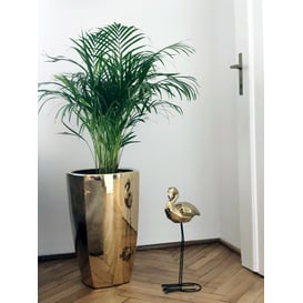 Slika 01.512. 57/61 Set od dvije posude četvrtastog oblika - zlatna