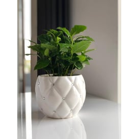 Slika 02.694.16 Posuda okruglog oblika - white