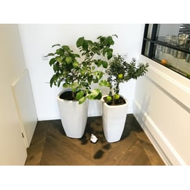 Slika 01.501.61 Visoka posuda okruglog oblika - bijela