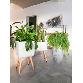 Slika 88.049.30 Velika posuda četvrtastog oblika sa drvenim nogama