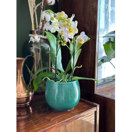 Picture of 07.141.15 Posuda okruglo oblika - tirkizna