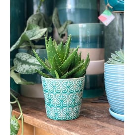 Slika 07.117.14 Posuda okruglog oblika - zelena