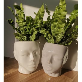 Slika Posuda u obliku glave – bijela