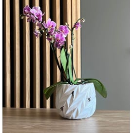 Slika 05.360.16 Posuda okruglog oblika - okrugla bijela