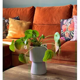 Slika 02.744.22 Posuda u obliku kaleža - siva