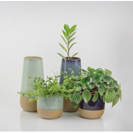 Slika 31.143.27 Vaza - menta