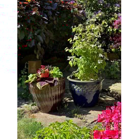 Picture of 79.015.25/30/37 Set od tri posude - smeđa