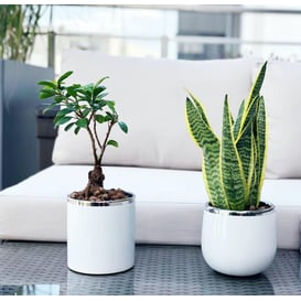 Picture of 08.103.15 Posuda okruglog oblika - bijela