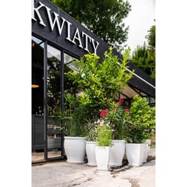 Slika 01.509. 43/47/51 (A) Set od tri posude okruglog oblika sa podlogom - bijela