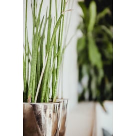 Slika 01.507. 26/31/38 Set od tri posude okruglog oblika sa podlogom - srebrna