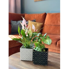 Picture of 07.128.14 Posuda četvrtastog oblika - tamno zelena