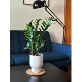 Slika 15.019.13 Posuda kružnog oblika - bijela