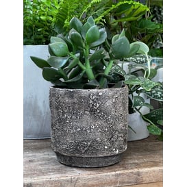 Slika 05.280.14 Posuda okruglog oblika - smeđa