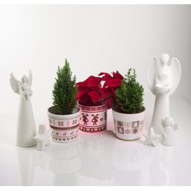 Slika 39.063.14 Posuda okruglog oblika