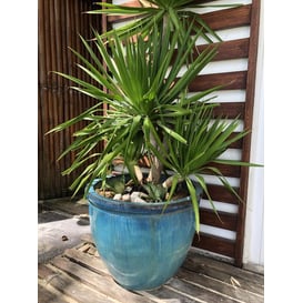 Picture of 75.402 Velika posuda okruglog oblika i zadebljanog ruba - tirkizna