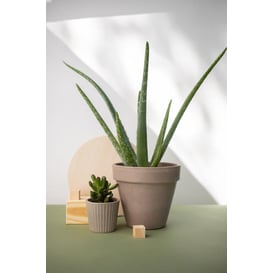 Slika ITA posuda "Vaso Standard" 60cm - grafit