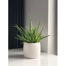 Slika 05.172.15 Posuda u obliku cilindra - bijela