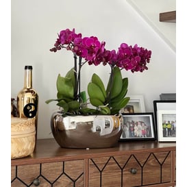 Picture of 31.050.27 Posuda ovalnog oblika - srebrna