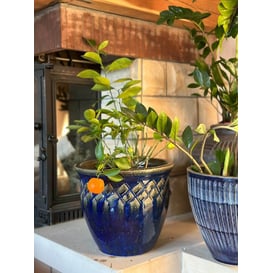 Picture of 79.011.25/30/37 Set od tri posude - plava