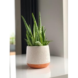 Slika 05.183.15 Posuda okruglog oblika - bijela/smeđa