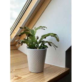 Slika 02.732.13 Posuda kružnog oblika - lila