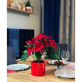 Slika 05.149.13 Posuda u obliku cilindra - crvena