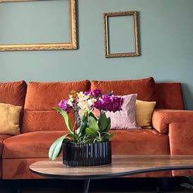 Slika 05.260.26 Posuda okruglog oblika - crna