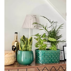 Picture of 07.141.15 Posuda okruglo oblika - tirkizna