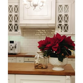 Picture of 37.040.23 Posuda okruglog oblika - bijela