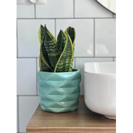 Picture of 39.050.15 Posuda u obliku cilindra - menta