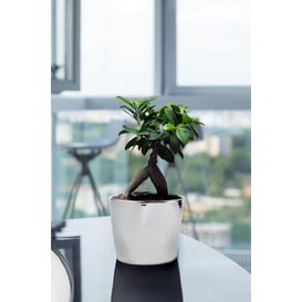 Picture of 31.094.12 Posuda okruglog oblika - srebrna